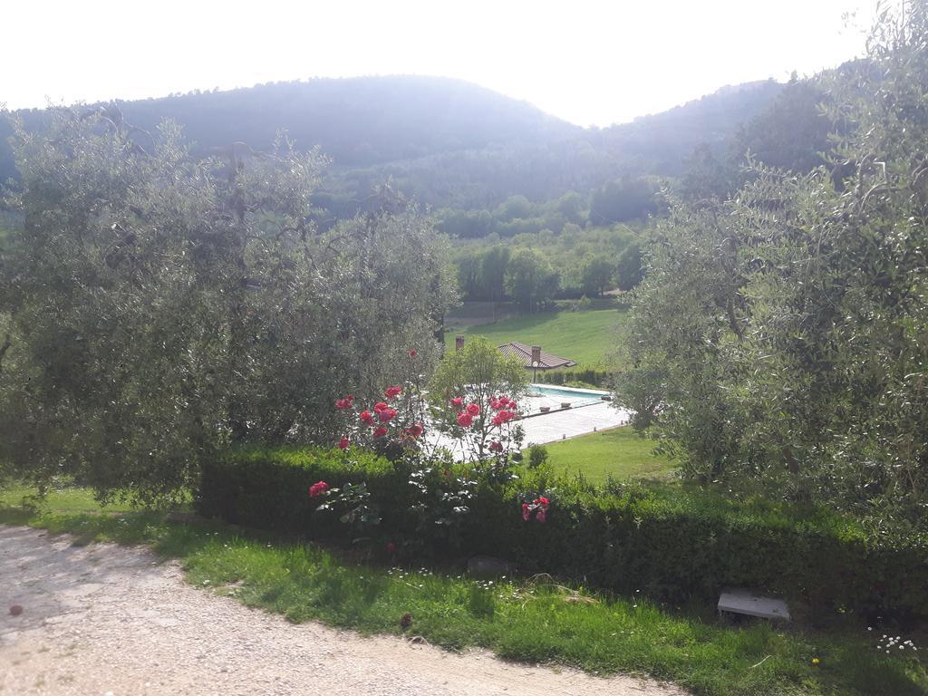 Agriturismo La Pila Ferentillo Esterno foto